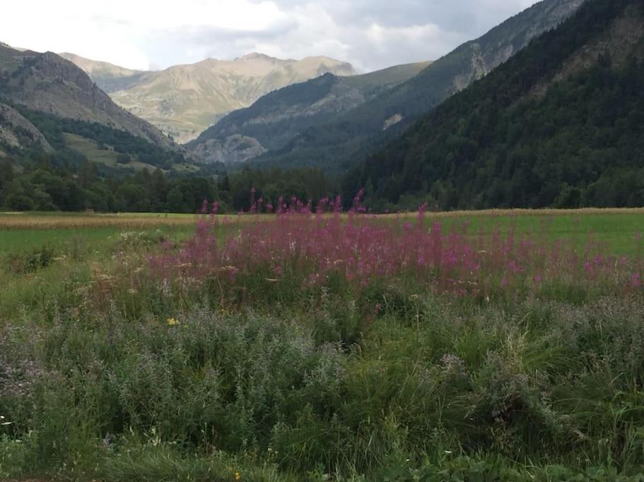 Appart Tres Ensoleille 5-6 Pers Au Pied Des Pistes أونسيل المظهر الخارجي الصورة